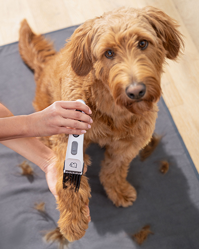 aparat de tuns blana catei si pisici