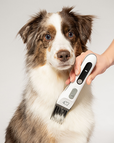 trimmer pentru caini si pisici