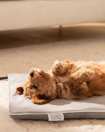 covoras incalzitor pentru animale de companie covoras incalzitor pentru animale de companie