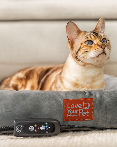 pat cu incalzire pentru catei si pisici