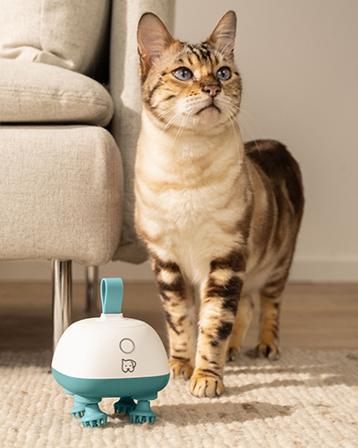 aparat de masaj pentru catei si pisici