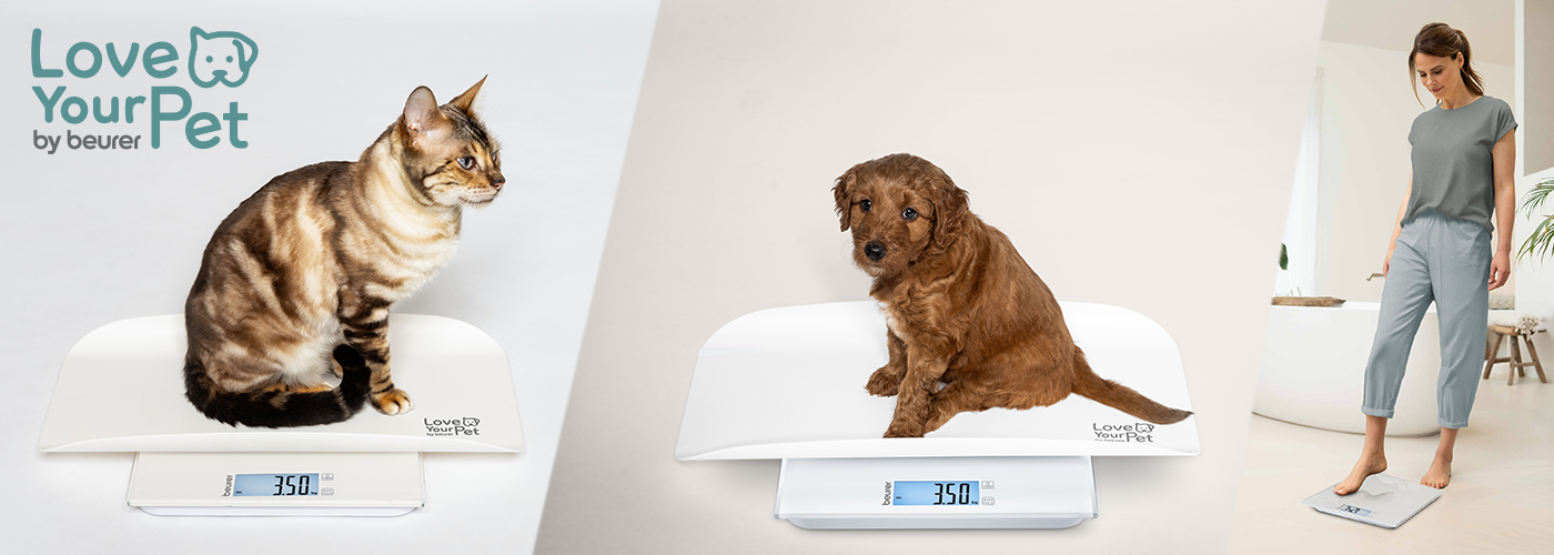 cantar multifunctional pentru animale si oameni