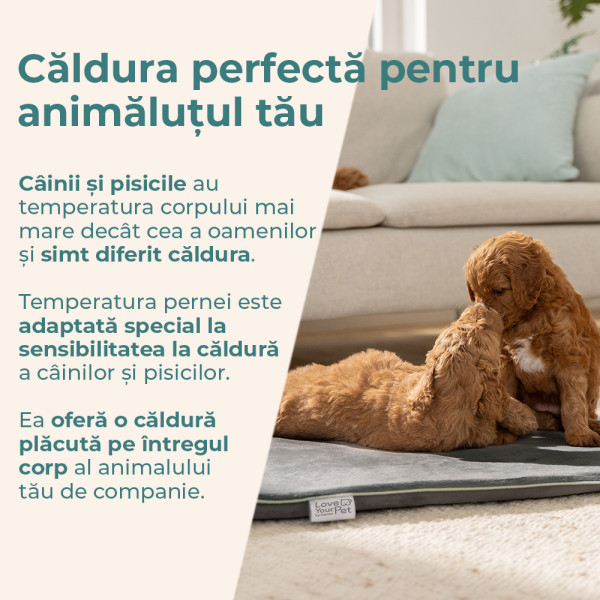 Beurer Perna electrica XL pentru caini si pisici Sammy PP 220 Beurer -  33